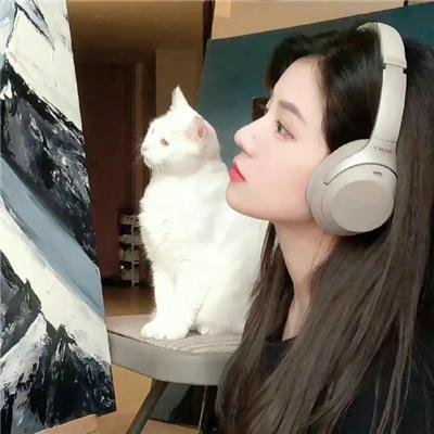 森林奇旅